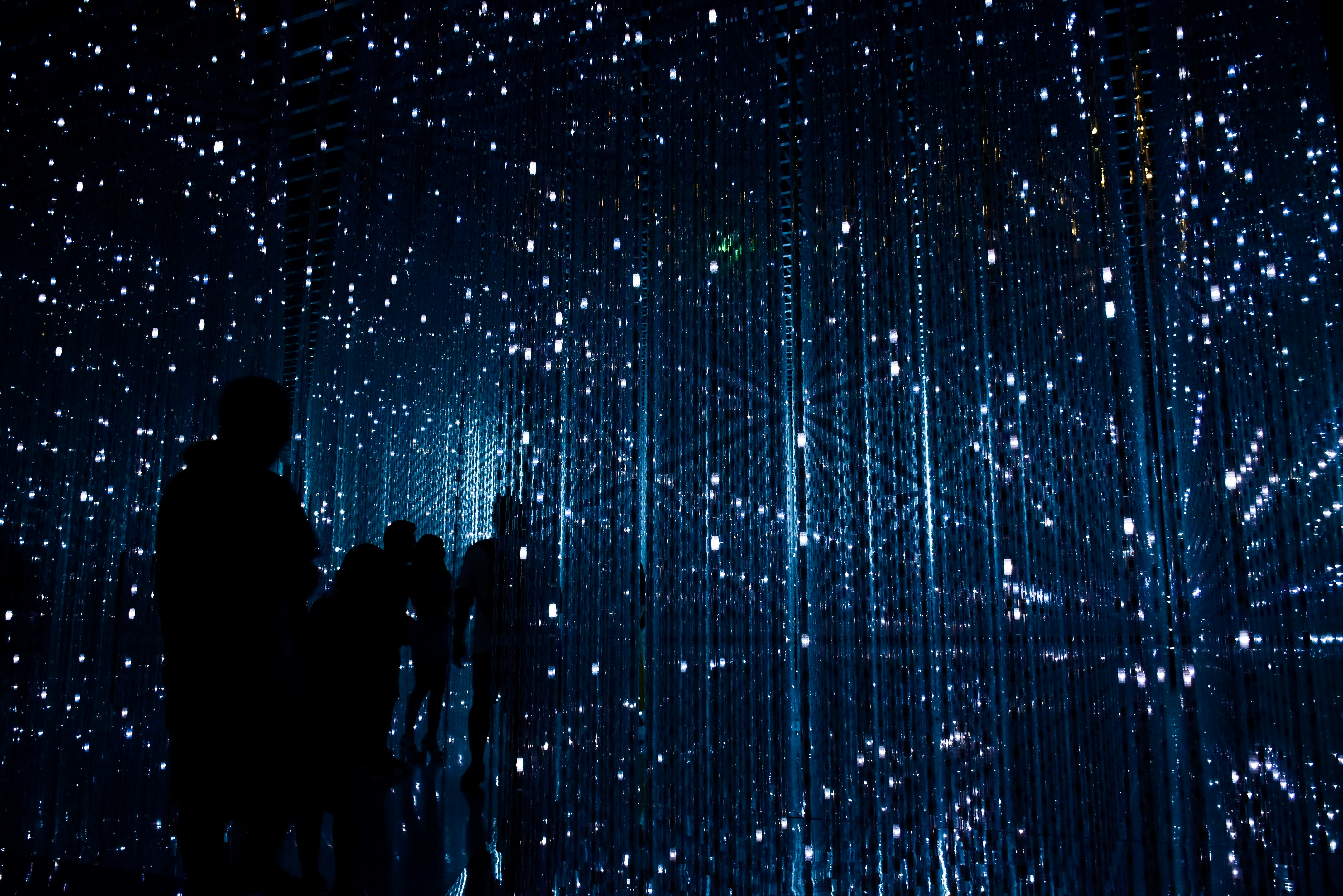 Digital hologram